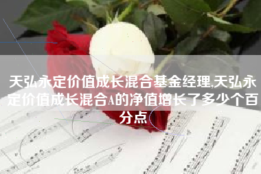 天弘永定价值成长混合基金经理,天弘永定价值成长混合A的净值增长了多少个百分点