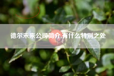 德尔未来公司简介,有什么特别之处