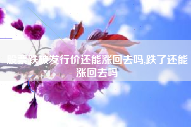 股票跌破发行价还能涨回去吗,跌了还能涨回去吗