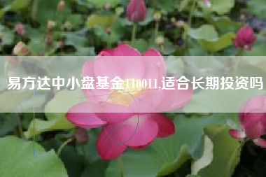 易方达中小盘基金110011,适合长期投资吗