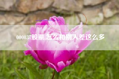 000037股票,怎么和别人差这么多