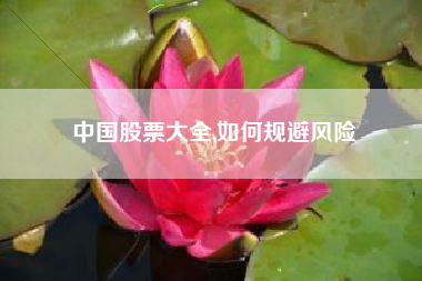 中国股票大全,如何规避风险