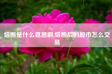 熔断是什么意思啊,熔断后的股市怎么交易