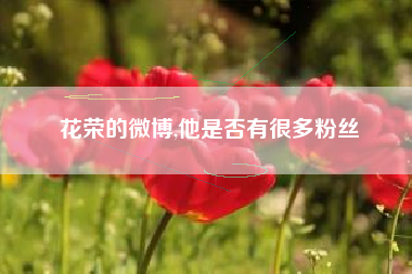 花荣的微博,他是否有很多粉丝
