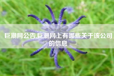 巨潮网公告,巨潮网上有哪些关于该公司的信息