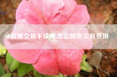 股票交易手续费,怎么降低交易费用