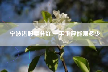 宁波港股票分红,一手上浮能赚多少