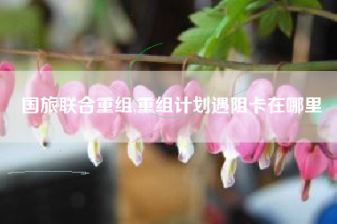 国旅联合重组,重组计划遇阻卡在哪里