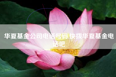 华夏基金公司电话号码,快拨华夏基金电话吧