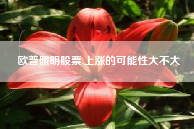 欧普照明股票,上涨的可能性大不大