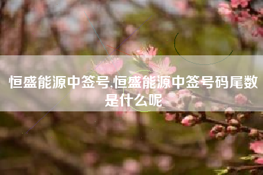 恒盛能源中签号,恒盛能源中签号码尾数是什么呢
