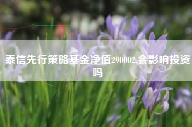 泰信先行策略基金净值290002,会影响投资吗