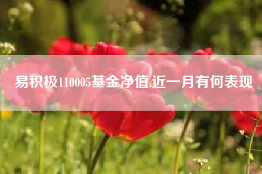 易积极110005基金净值,近一月有何表现