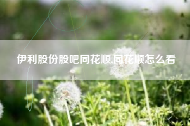 伊利股份股吧同花顺,同花顺怎么看