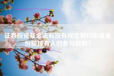证券投资基金法有没有规定契约型基金份额持有人的参与权利？