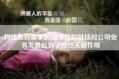 钧达股份董事长,陆小红的财技对公司业务发展起到了哪些关键作用