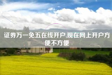 证券万一免五在线开户,现在网上开户方便不方便