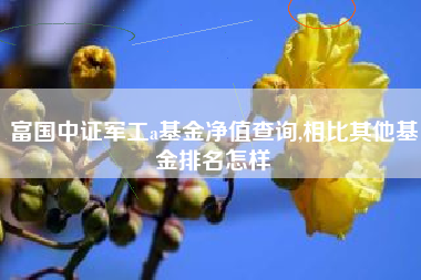 富国中证军工a基金净值查询,相比其他基金排名怎样