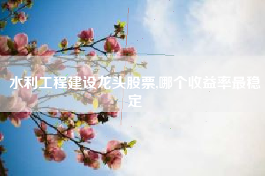 水利工程建设龙头股票,哪个收益率最稳定
