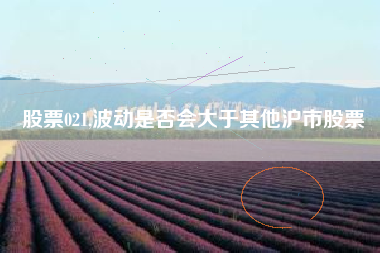 股票021,波动是否会大于其他沪市股票