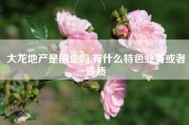 大龙地产是国企吗,有什么特色业务或者资质