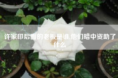 许家印后面的老板是谁,他们暗中资助了什么
