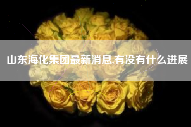 山东海化集团最新消息,有没有什么进展