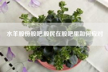水羊股份股吧,股民在股吧里如何应对