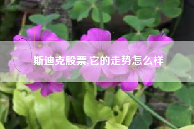 斯迪克股票,它的走势怎么样