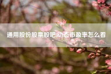 通用股份股票股吧,动态市盈率怎么看