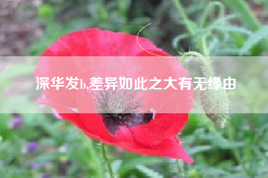 深华发b,差异如此之大有无缘由