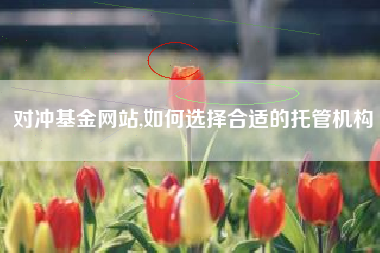 对冲基金网站,如何选择合适的托管机构