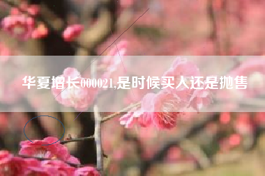 华夏增长000021,是时候买入还是抛售