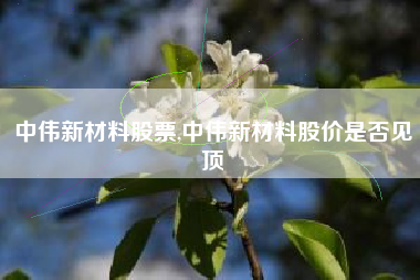 中伟新材料股票,中伟新材料股价是否见顶