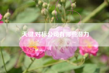 天键,对标公司有哪些潜力