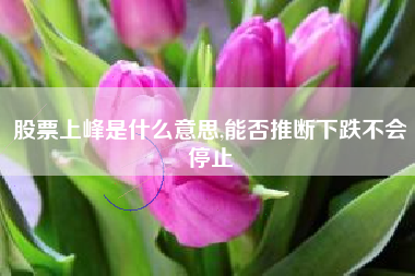 股票上峰是什么意思,能否推断下跌不会停止