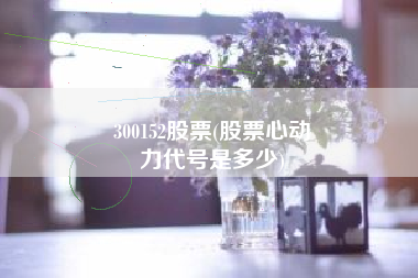 300152股票(股票心动
力代号是多少) 300152股票(股票心动
力代号是多少)