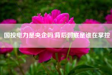 国投电力是央企吗,背后到底是谁在掌控