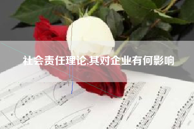 社会责任理论,其对企业有何影响