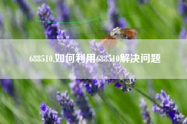 688510,如何利用688510解决问题
