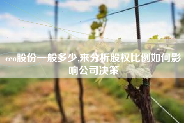 ceo股份一般多少,来分析股权比例如何影响公司决策