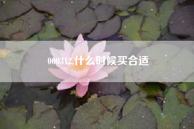 000312,什么时候买合适