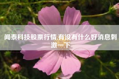 闻泰科技股票行情,有没有什么好消息刺激一下