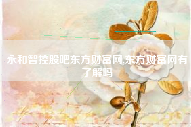 永和智控股吧东方财富网,东方财富网有了解吗