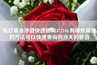 每日基金净值快速查询377240,有哪些简便的方法可以快速查询到当天的数值
