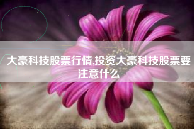 大豪科技股票行情,投资大豪科技股票要注意什么