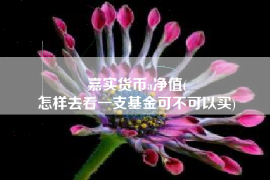 嘉实货币a净值(
怎样去看一支基金可不可以买)