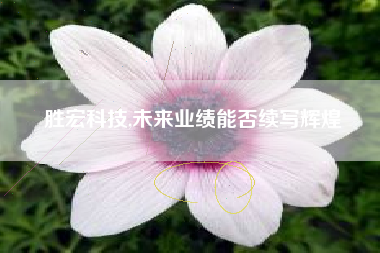 胜宏科技,未来业绩能否续写辉煌