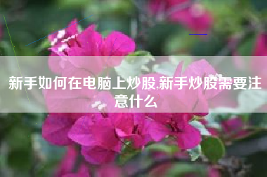 新手如何在电脑上炒股,新手炒股需要注意什么