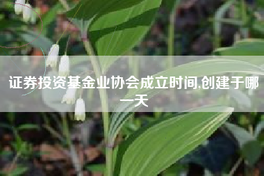 证券投资基金业协会成立时间,创建于哪一天